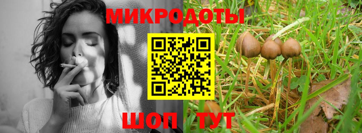 Псилоцибиновые грибы Magic Shrooms  Вход с VPN  Полысаево 